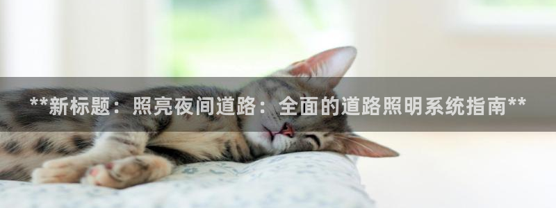 **新标题：照亮夜间道路：全面的道路照明系统指南**