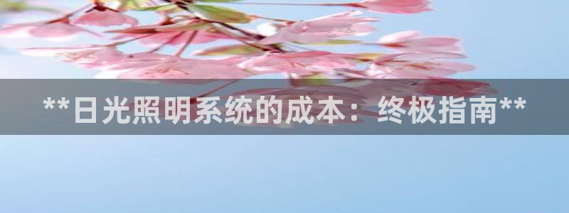 **日光照明系统的成本：终极指南**