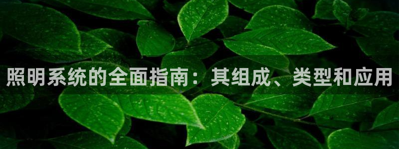 照明系统的全面指南：其组成、类型和应用