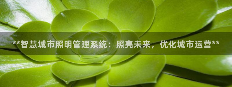 **智慧城市照明管理系统:照亮未来,优化城市运营**
