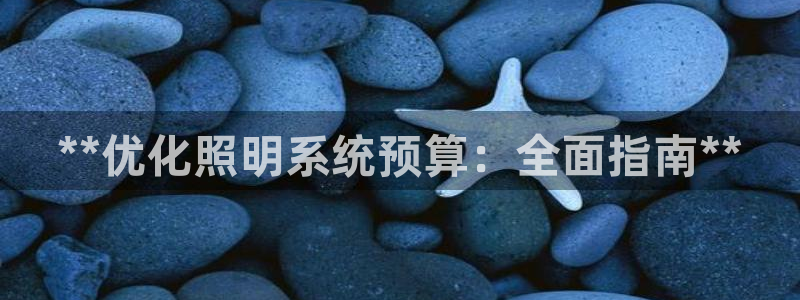 **优化照明系统预算：全面指南**