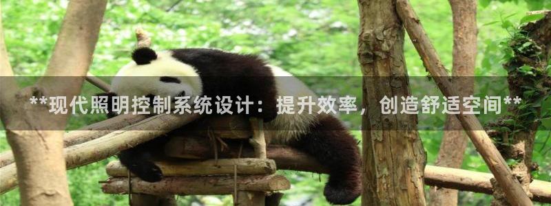 **现代照明控制系统设计:提升效率,创造舒适空间**