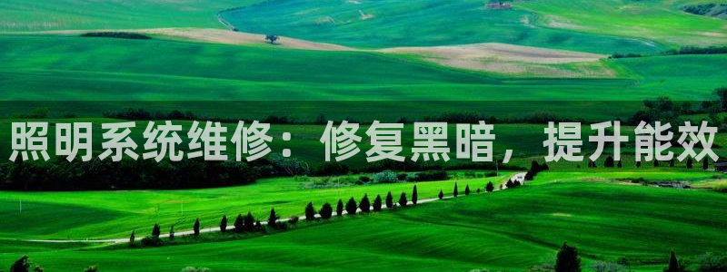 照明系统维修：修复黑暗，提升能效