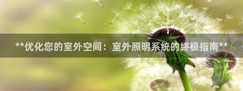 **优化您的室外空间：室外照明系统的终极指南**
