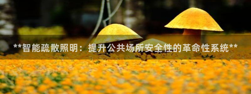 **智能疏散照明：提升公共场所安全性的革命性系统**