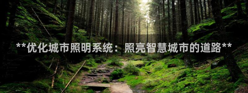 **优化城市照明系统：照亮智慧城市的道路**