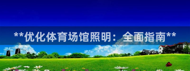 **优化体育场馆照明：全面指南**