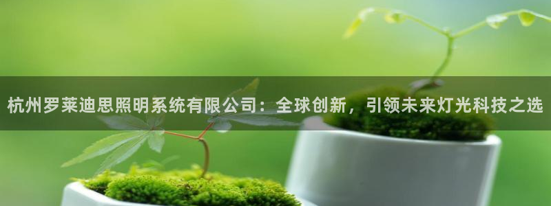 杭州罗莱迪思照明系统有限公司：全球创新，引领未来灯光科技之选