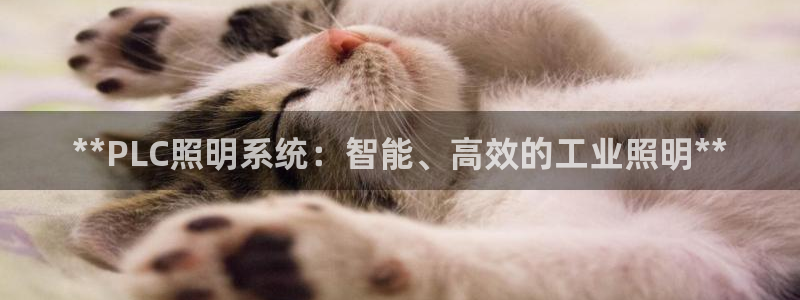 **PLC照明系统:智能、高效的工业照明**