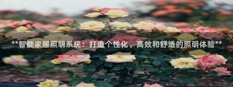 **智能家居照明系统：打造个性化、高效和舒适的照明体验**