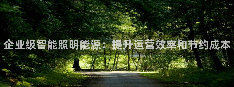 企业级智能照明能源：提升运营效率和节约成