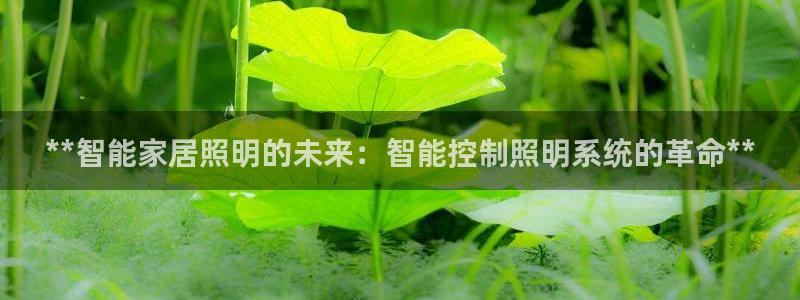 **智能家居照明的未来：智能控制照明系统