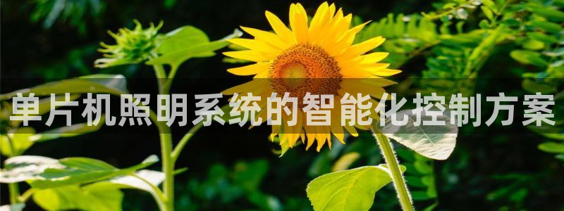 单片机照明系统的智能化控制方案