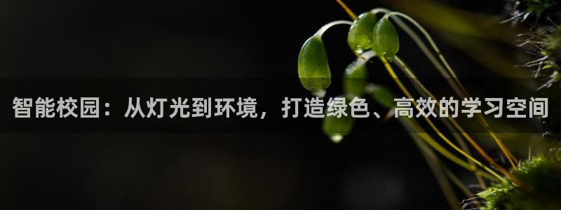 智能校园：从灯光到环境，打造绿色、高效的