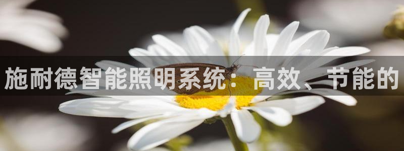 施耐德智能照明系统：高效、节能的