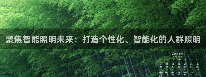 聚焦智能照明未来：打造个性化、智能化的人群照明