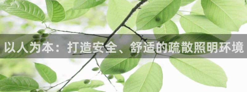 以人为本：打造安全、舒适的疏散照明环境