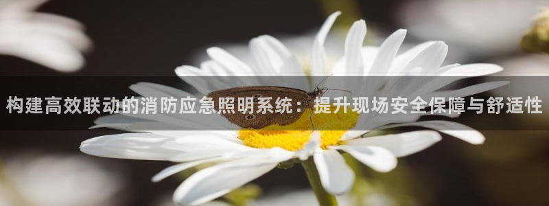 构建高效联动的消防应急照明系统:提升现场安全保障与舒适性
