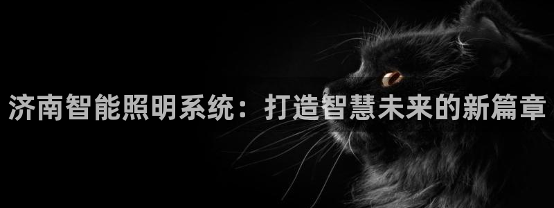 济南智能照明系统：打造智慧未来的新篇章