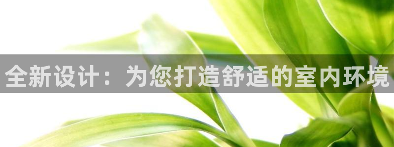 全新设计：为您打造舒适的室内环境