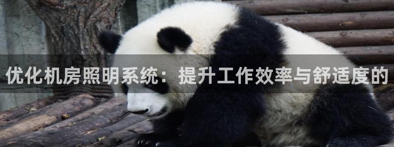 优化机房照明系统:提升工作效率与舒适度的