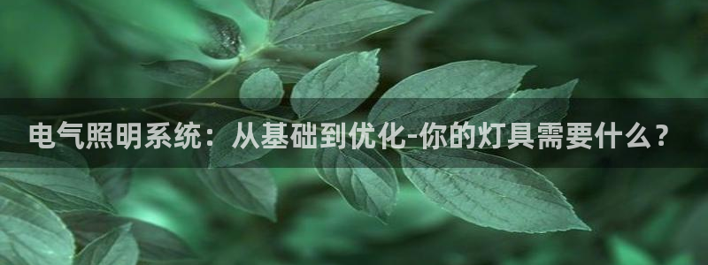 电气照明系统:从基础到优化-你的灯具需要什么?