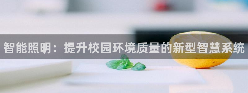 智能照明：提升校园环境质量的新型智慧系统