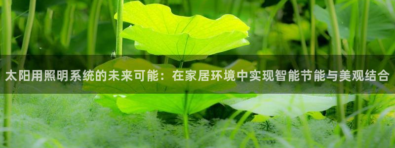 太阳用照明系统的未来可能：在家居环境中实现智能节能与美观结合