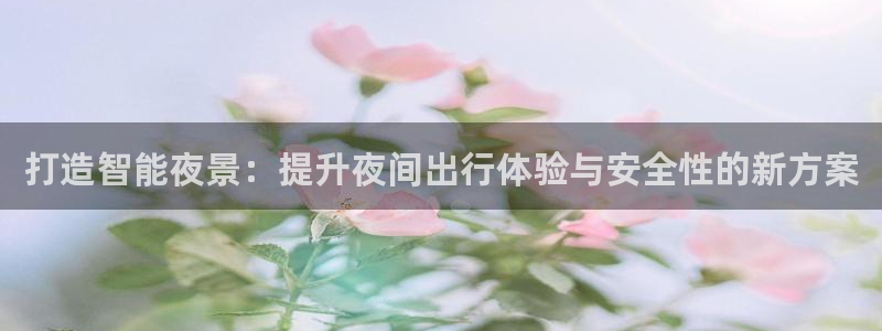 打造智能夜景:提升夜间出行体验与安全性的新方案