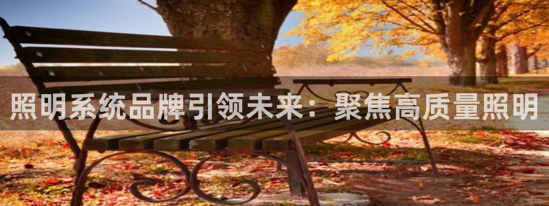 照明系统品牌引领未来：聚焦高质量照明