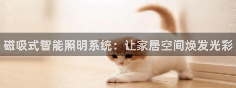 磁吸式智能照明系统：让家居空间焕发光彩