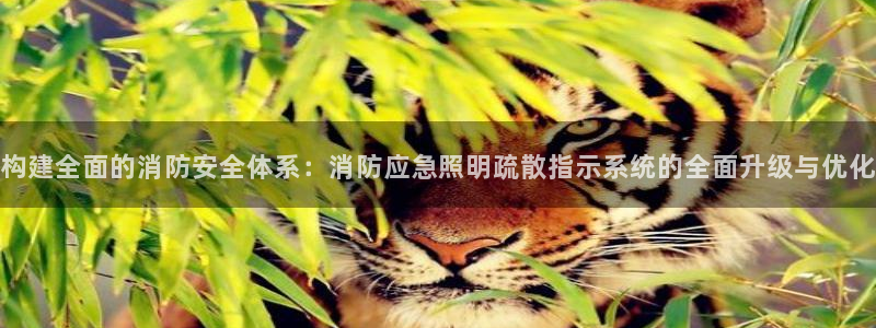 构建全面的消防安全体系:消防应急照明疏散指示系统的全面升级与优化