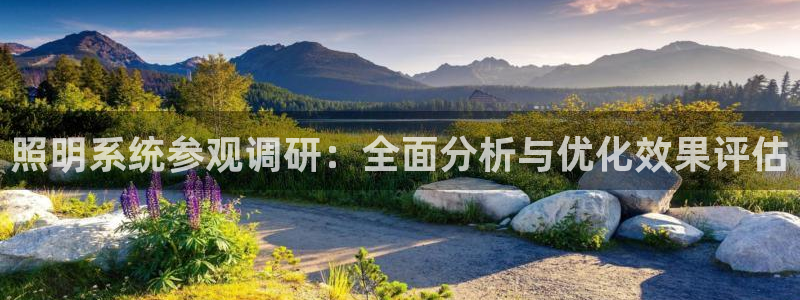照明系统参观调研：全面分析与优化效果评估