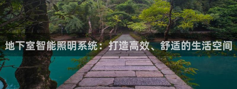 地下室智能照明系统：打造高效、舒适的生活