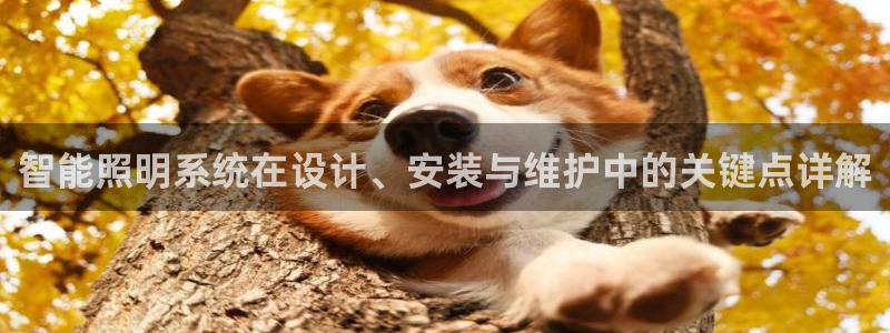 智能照明系统在设计、安装与维护中的关键点详解
