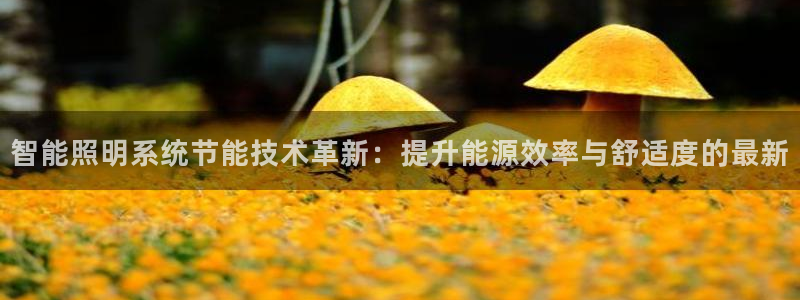智能照明系统节能技术革新:提升能源效率与舒适度的最新