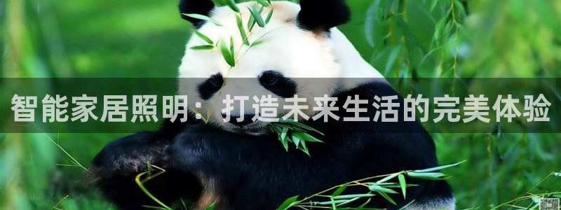 智能家居照明：打造未来生活的完美体验