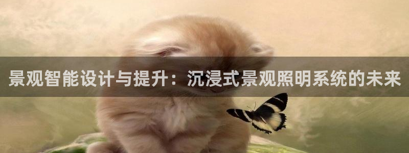 景观智能设计与提升：沉浸式景观照明系统的未来