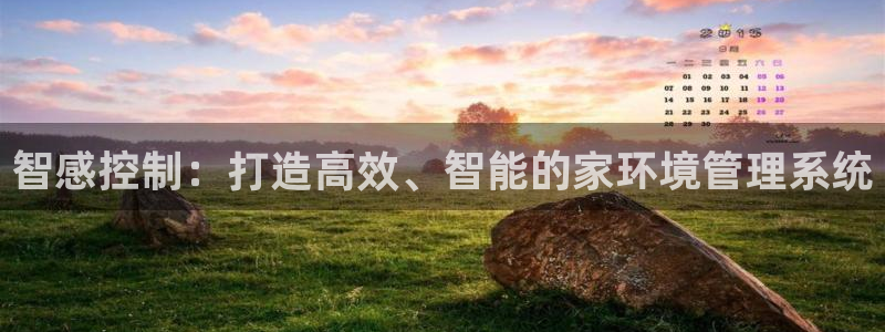 智感控制：打造高效、智能的家环境管理系统