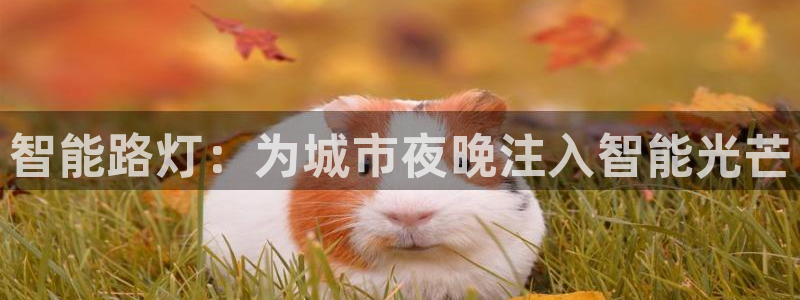 智能路灯：为城市夜晚注入智能光芒