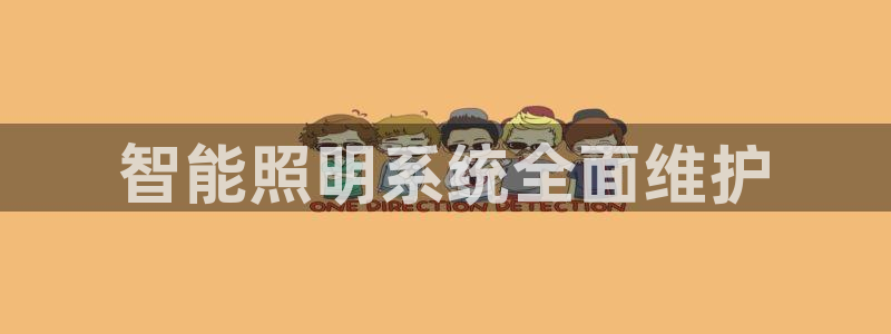 智能照明系统全面维护