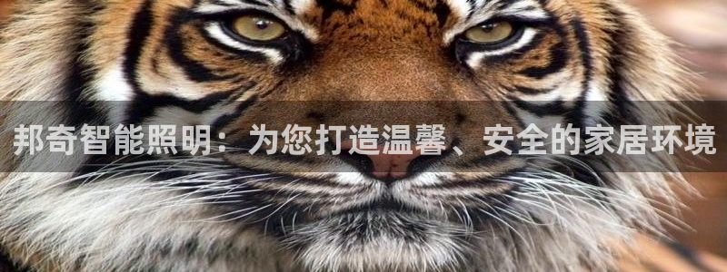 邦奇智能照明：为您打造温馨、安全的家居环境