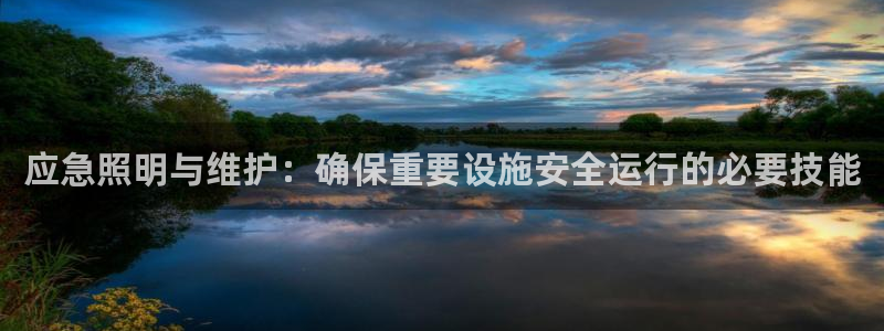 应急照明与维护：确保重要设施安全运行的必要技能