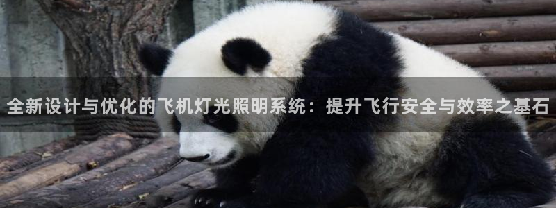 全新设计与优化的飞机灯光照明系统：提升飞行安全与效率之基石
