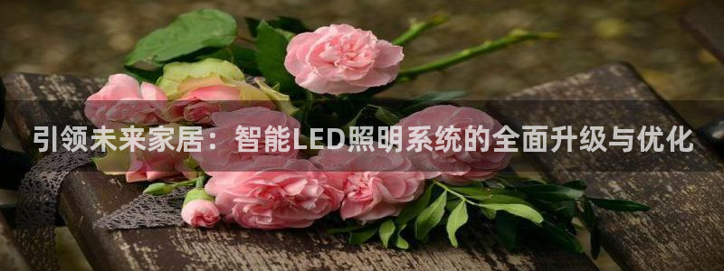 引领未来家居：智能LED照明系统的全面升级与优化