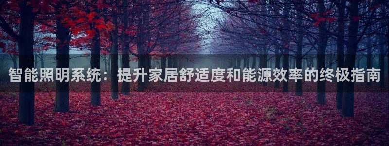 智能照明系统：提升家居舒适度和能源效率的终极指南
