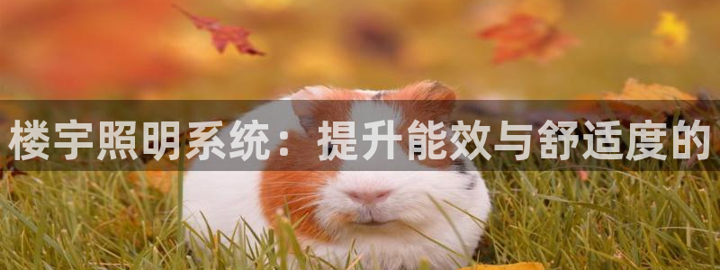 楼宇照明系统：提升能效与舒适度的