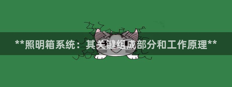 **照明箱系统：其关键组成部分和工作原理**