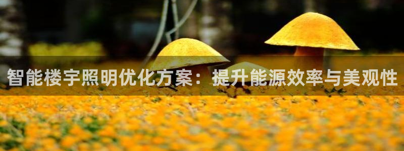 智能楼宇照明优化方案：提升能源效率与美观性