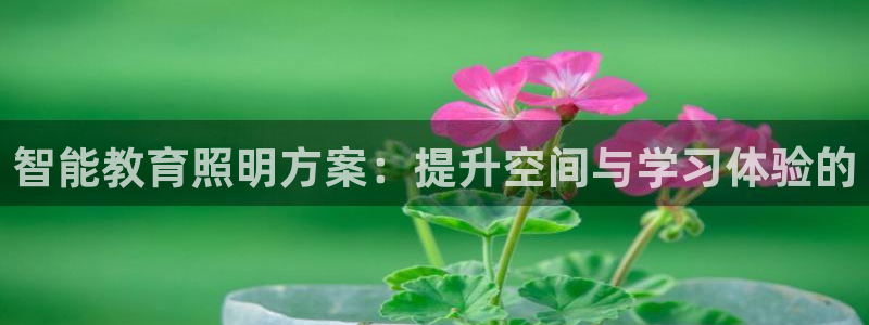 智能教育照明方案：提升空间与学习体验的